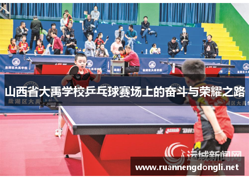 山西省大禹学校乒乓球赛场上的奋斗与荣耀之路