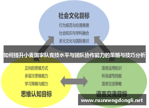 如何提升小麦国家队竞技水平与团队协作能力的策略与技巧分析