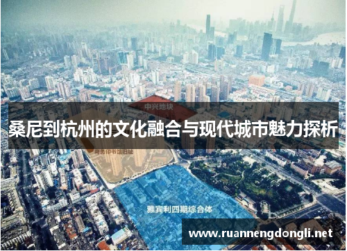 桑尼到杭州的文化融合与现代城市魅力探析